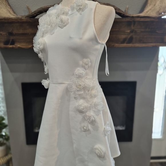 Elliatt Dress, Lyrics Mini Dress 3D Floral Applique High Neck Size Large. NWT - Picture 3 of 6